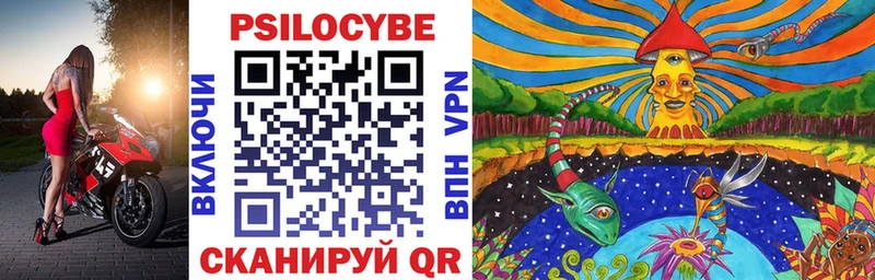 Купить где  Оса  Галлюциногенные грибы Psilocybine cubensis 